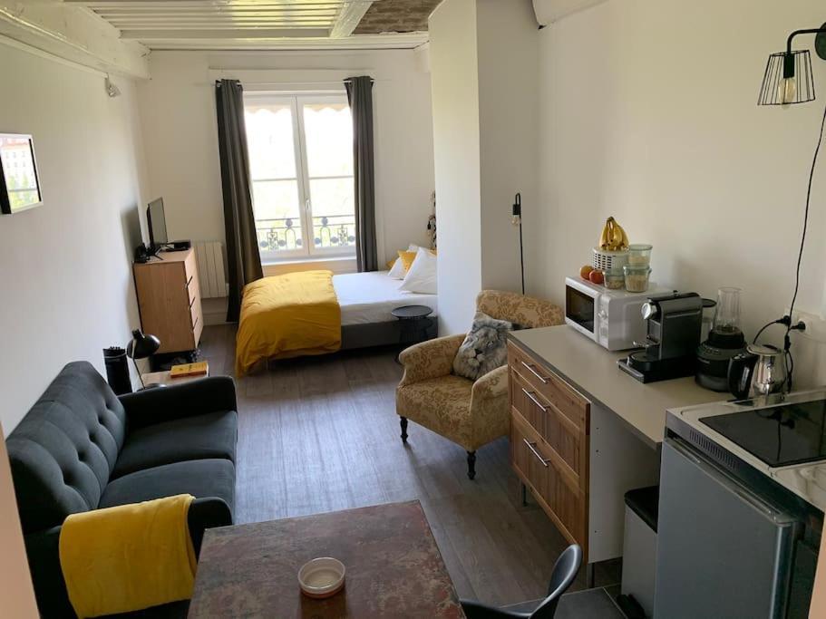 Chez Alam A L'Opera De Lyon 아파트 외부 사진